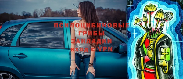 сатива Орехово-Зуево