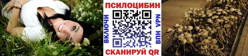 Купить где  Злынка  Псилоцибиновые грибы GOLDEN TEACHER 
