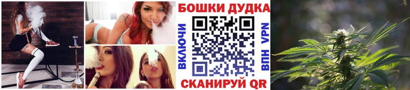 Бошки марихуана индика  Купить закладки  Злынка 